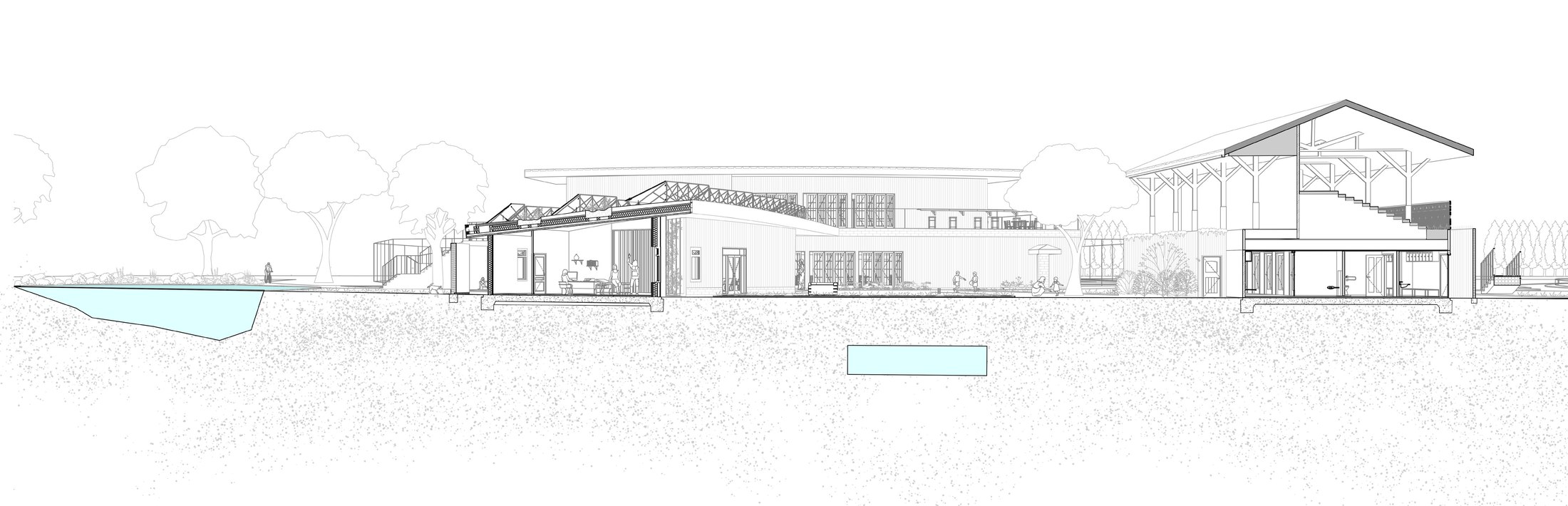 Perspective section