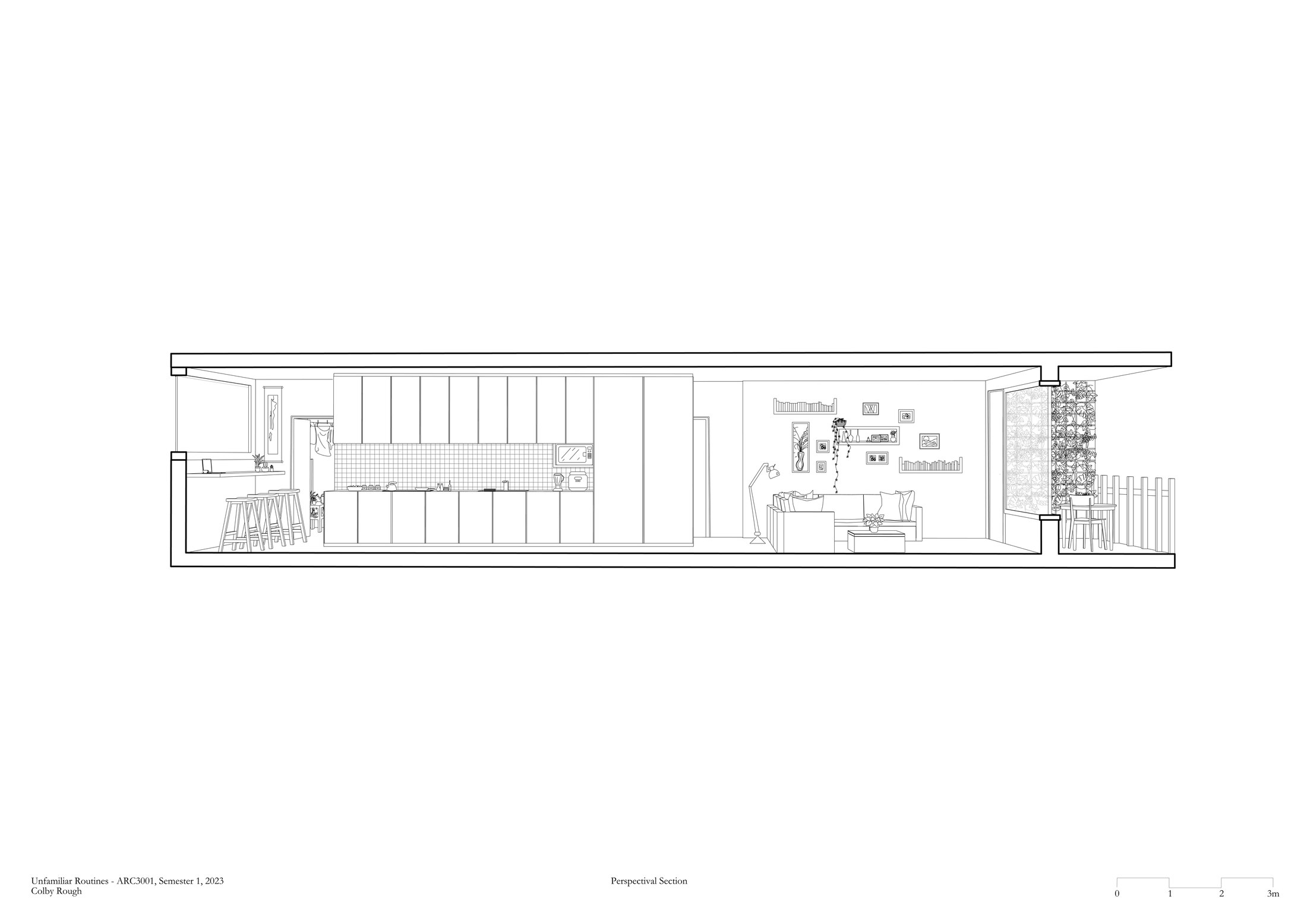 Perspective section