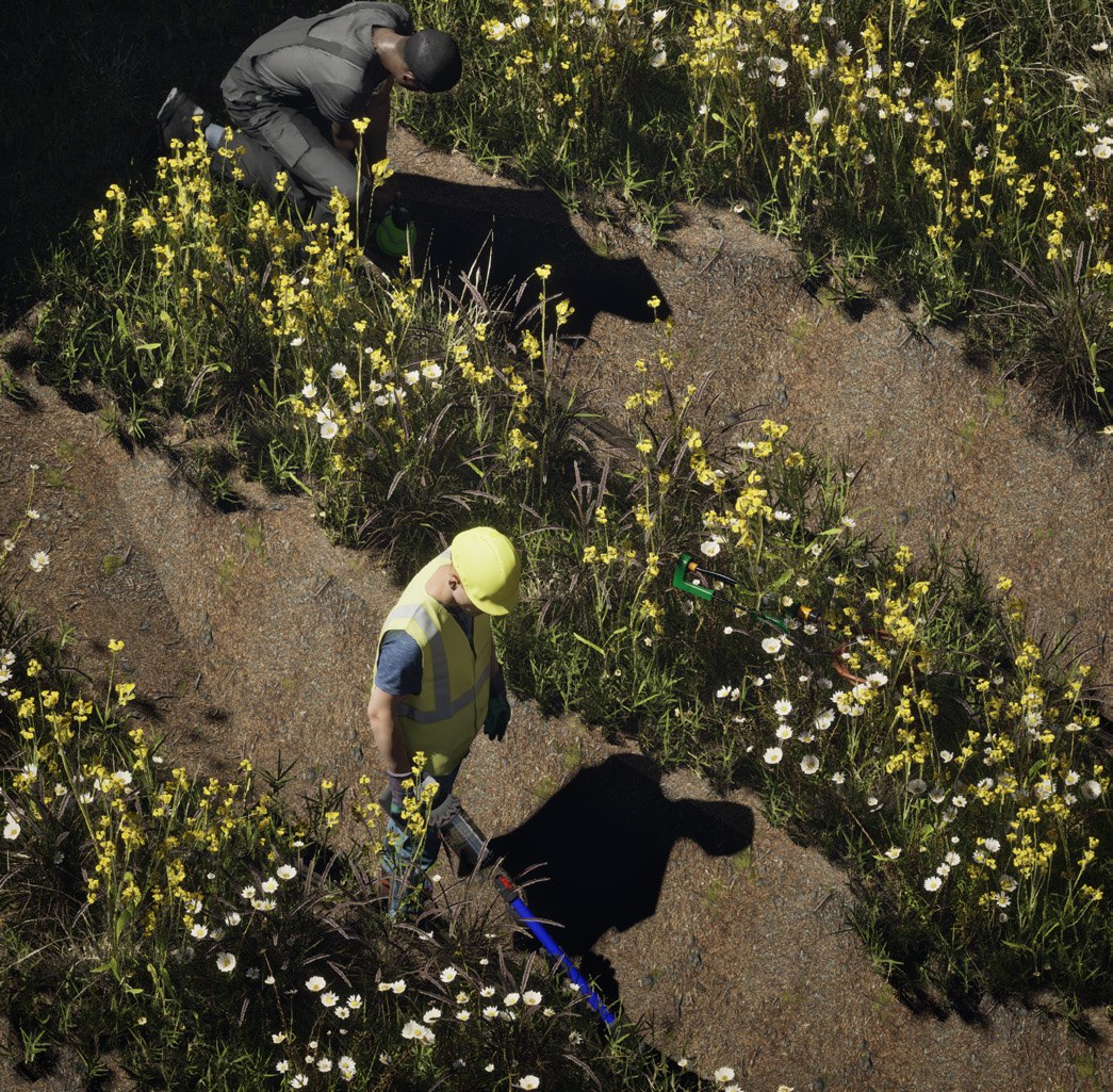 Render, grassland harvest